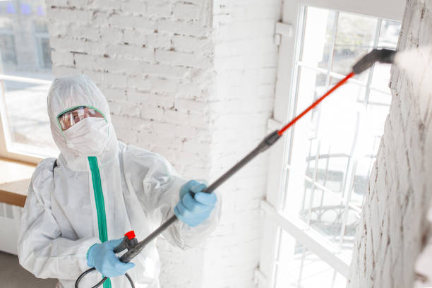 Best Mold Remediation for Rental Properties  in Rochester Hills, MI