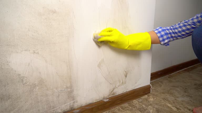 Best Real Estate Mold Inspection  in Rochester Hills, MI